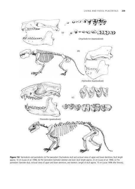 The Origin and Evolution of Mammals - Moodle