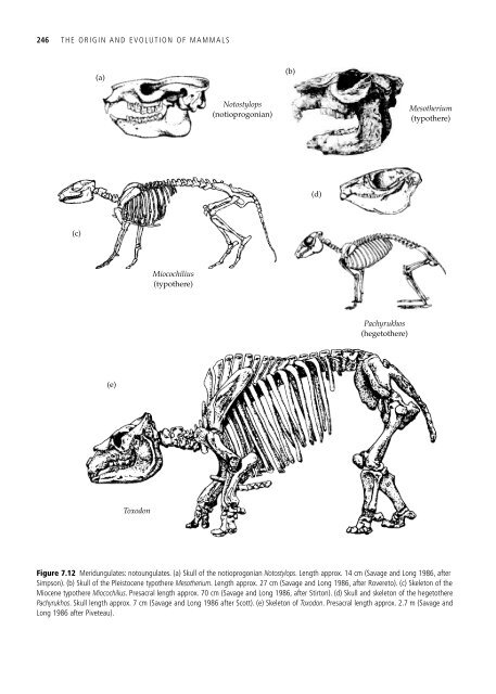 The Origin and Evolution of Mammals - Moodle