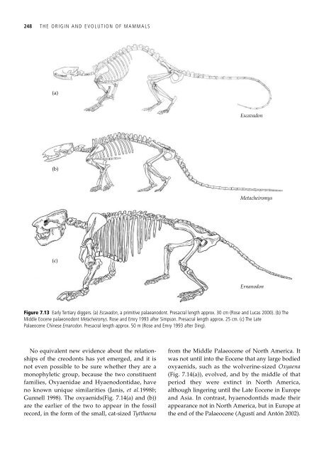 The Origin and Evolution of Mammals - Moodle