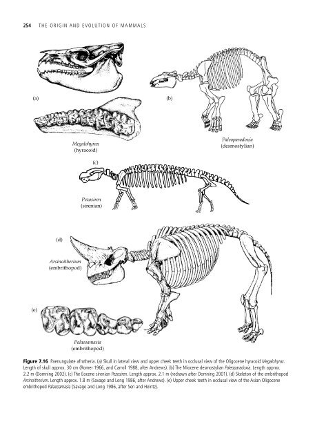 The Origin and Evolution of Mammals - Moodle