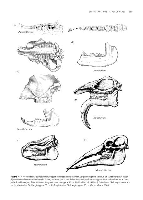 The Origin and Evolution of Mammals - Moodle