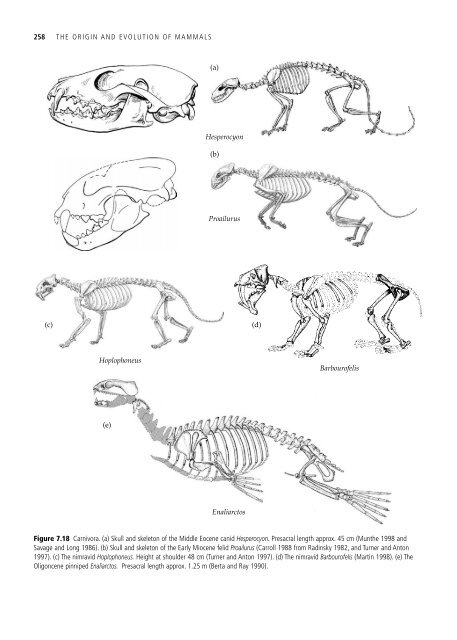 The Origin and Evolution of Mammals - Moodle