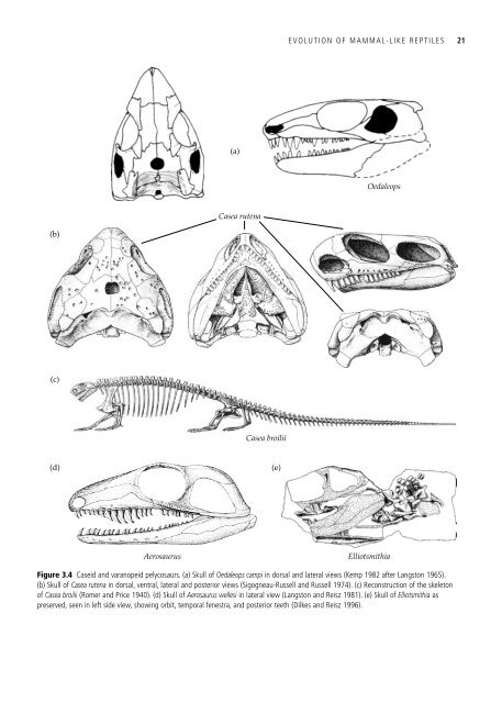 The Origin and Evolution of Mammals - Moodle