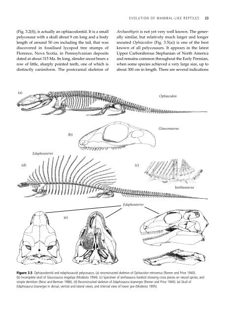 The Origin and Evolution of Mammals - Moodle