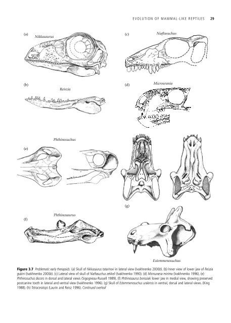 The Origin and Evolution of Mammals - Moodle