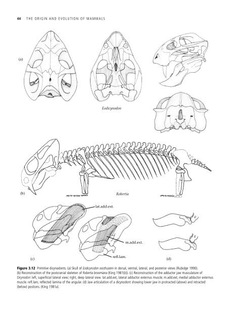 The Origin and Evolution of Mammals - Moodle