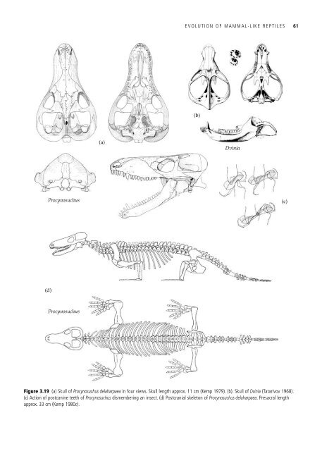 The Origin and Evolution of Mammals - Moodle