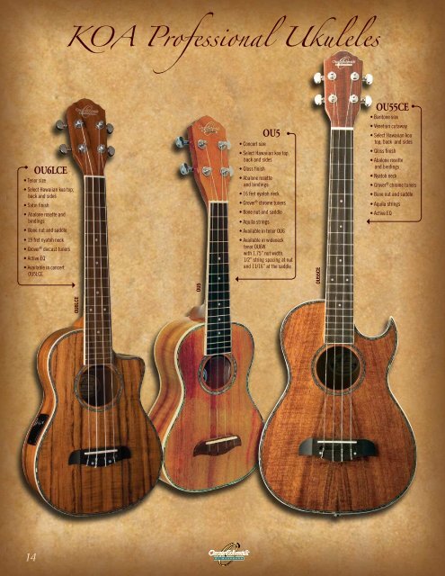 Acoustic Guitars