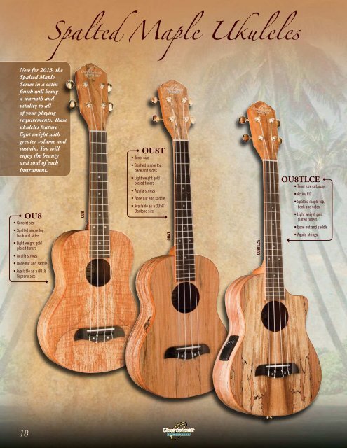 Acoustic Guitars