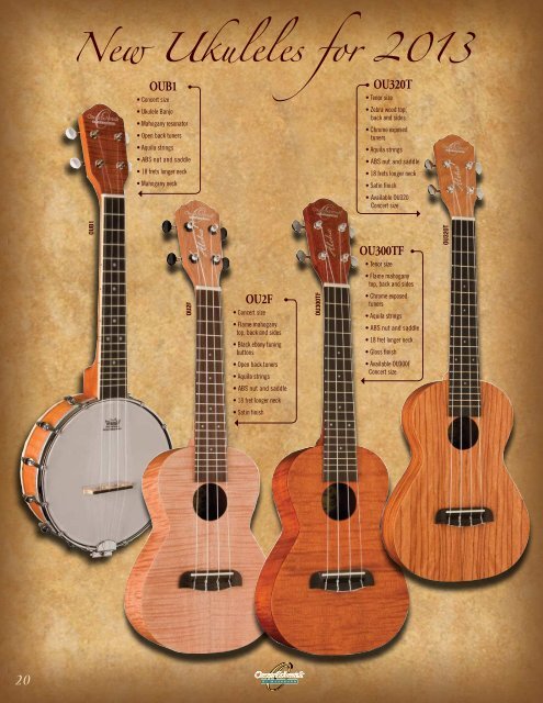 Acoustic Guitars