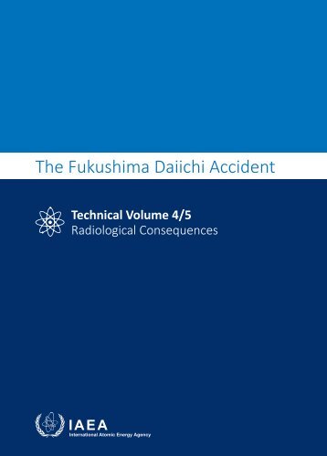 The Fukushima Daiichi Accident