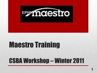 Maestro Training