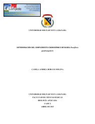 quadrangularis - Universidad Militar Nueva Granada