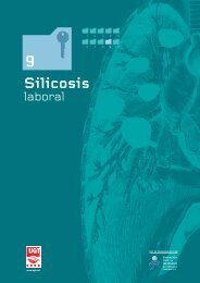 Silicosis en el Ã¡mbito laboral - UGT