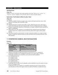 CHAPTER 7 Stoichiometry 7.1 INTERPRETING CHEMICAL ...