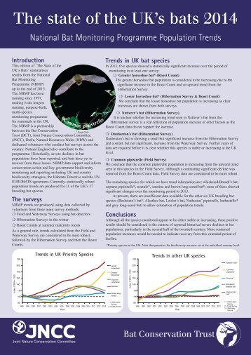 The state of the UK’s bats 2014