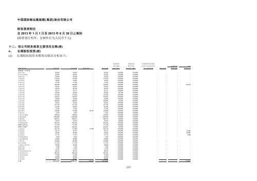 中国国际海运集装箱（集团）股份有限公司2013 年半年度报告