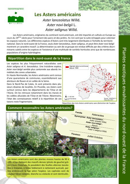 Plantes exotiques envahissantes du Nord-Ouest de la France