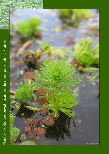 Plantes exotiques envahissantes du Nord-Ouest de la France