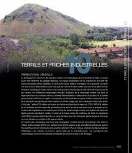 TERRILS ET FRICHES INDUSTRIELLES