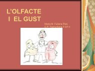 L’OLFACTE I EL GUST