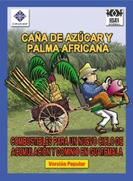 Caña de Azúcar y Palma Africana: Combustibles para un nuevo ...