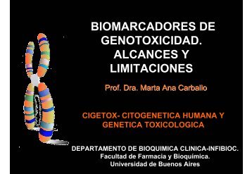 biomarcadores de genotoxicidad. alcances y limitaciones - CAPS