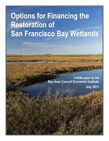 Options for Financing the Restoration of San Francisco Bay Wetlands