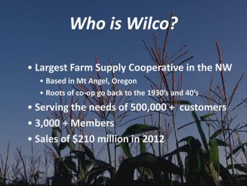 Who is Wilco?