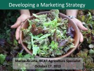 Developing a Marketing Strategy