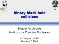 Binary black hole collisions