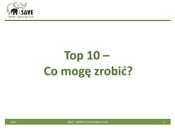 Top 10 – Co mogę zrobić?