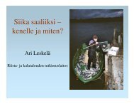 Siika saaliiksi – kenelle ja miten?