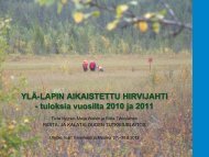 YLÄ-LAPIN AIKAISTETTU HIRVIJAHTI - tuloksia vuosilta 2010 ja 2011