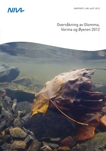 Overvåkning av Glomma Vorma og Øyeren 2012