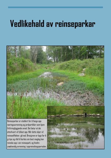 Vedlikehald av reinseparkar