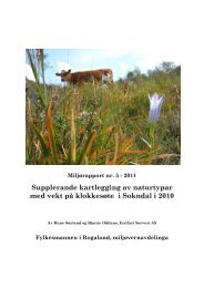 Supplerande kartlegging av naturtypar med vekt på klokkesøte i Sokndal i 2010