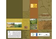 A Project for Stabilization of Ravines along River - The GEF Small ...