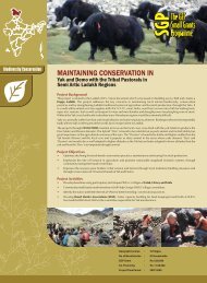 MAINTAINING CONSERVATION IN