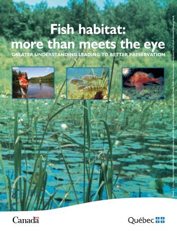 Fish habitat more than meets the eye