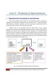 Curs 3 – Product ie s i Aprovizionare