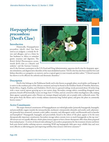 Harpagophytum procumbens - Alternative Medicine Review