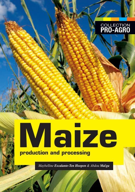 Maize