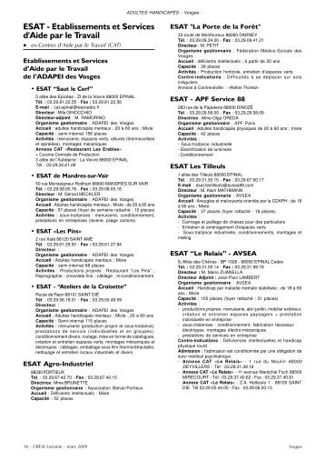 ESAT - Etablissements et Services d'Aide par le Travail