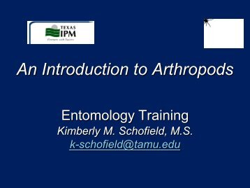 An Introduction to Arthropods