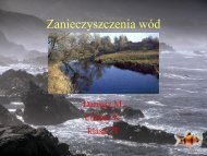 Zanieczyszczenia wód