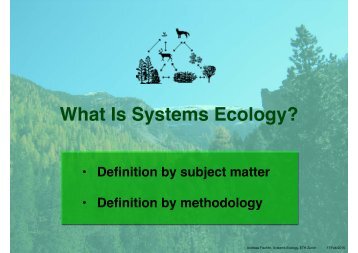 What Is Systems Ecology?