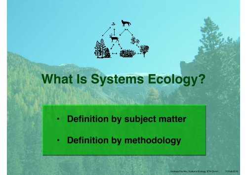 What Is Systems Ecology?