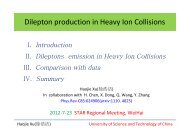 Dilepton production in Heavy Ion Collisions