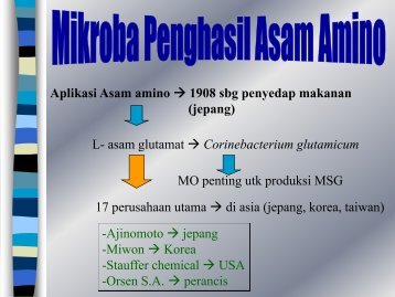 Aplikasi Asam amino â 1908 sbg penyedap makanan (jepang) L ...